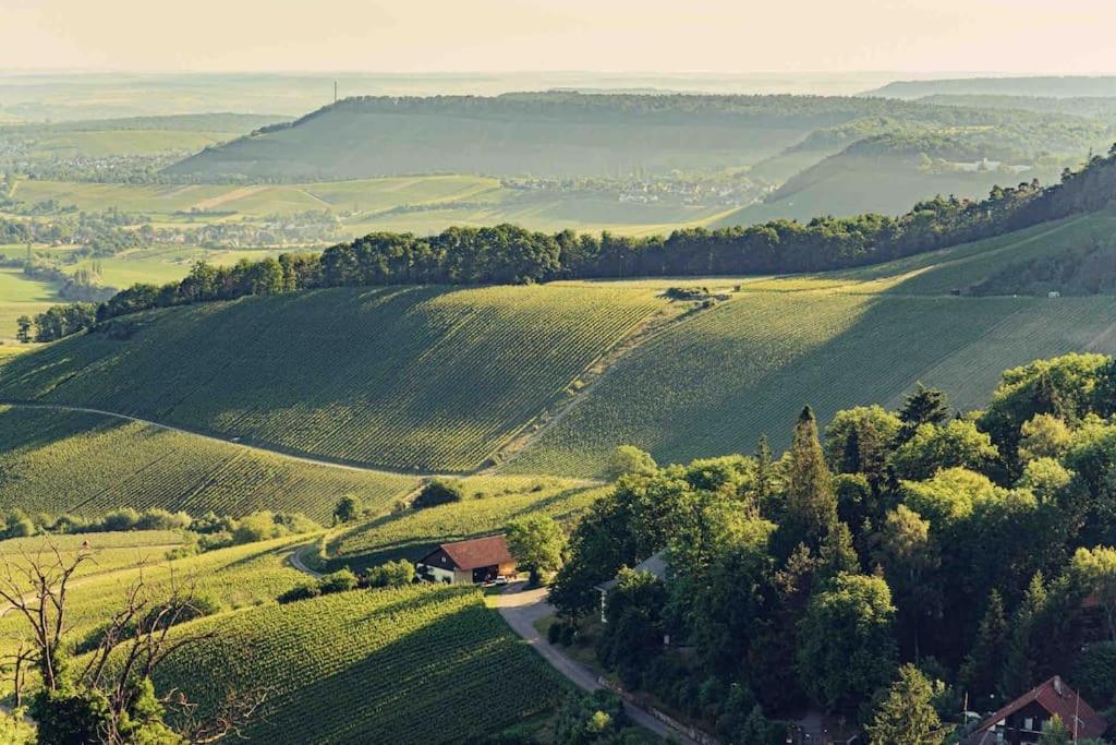 3 Zimmer Neubauwohnung In Der Schwaebischen Toskana Löwenstein Exteriér fotografie